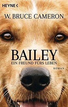 portada Bailey - ein Freund Fürs Leben: Ich Gehöre zu dir - Buch zum Film - Roman (in German)