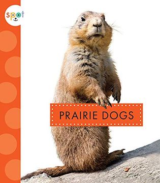 portada Prairie Dogs (Spot Backyard Animals) (in English)