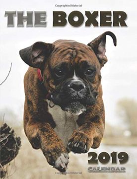 portada The Boxer 2019 Calendar (en Inglés)