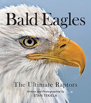 portada Bald Eagles: The Ultimate Raptors (Favorite Wildlife) (in English)