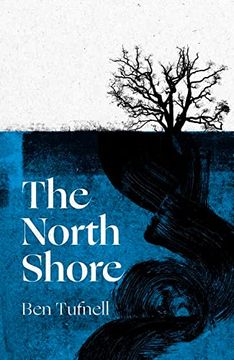 portada The North Shore: A Stunning Gothic Debut