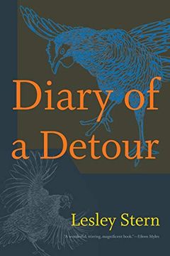 portada Diary of a Detour (Writing Matters! ) (en Inglés)