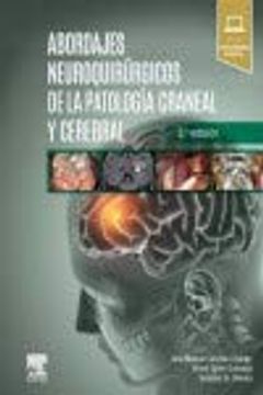 portada Abordajes Neuroquirúrgicos de la Patología Craneal y Cerebral