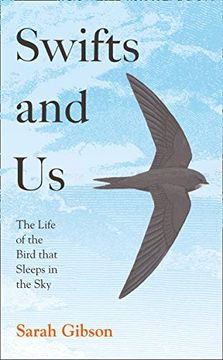 portada Swifts and Us: The Life of the Bird That Sleeps in the Sky (en Inglés)