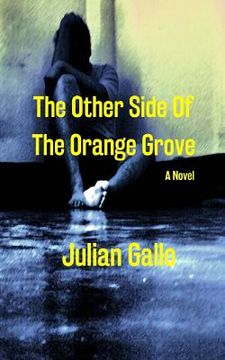portada The Other Side Of The Orange Grove (en Inglés)