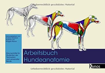 portada Arbeitsbuch Hundeanatomie: Eine Lernhilfe für Studenten der Tiermedizin und verwandte Berufe (in German)