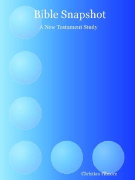 portada bible snapshot: a new testament study (en Inglés)