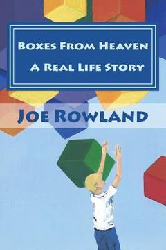 portada Boxes From Heaven: A Real Life Experience (en Inglés)