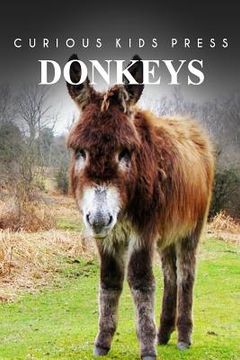 portada Donkey - Curious Kids Press (en Inglés)