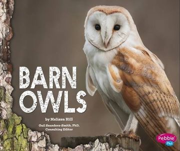 portada Barn Owls (in English)