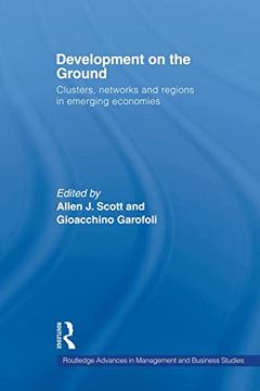portada Development on the Ground: Clusters, Networks and Regions in Emerging Economies