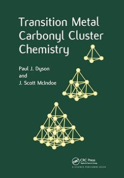 portada Transition Metal Carbonyl Cluster Chemistry (en Inglés)