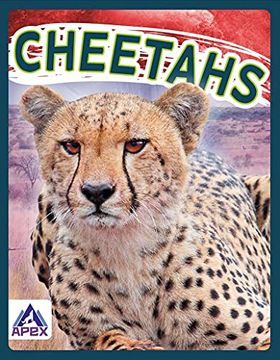 portada Wild Cats: Cheetahs (en Inglés)