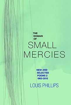 portada The Domain of Small Mercies: 2 (en Inglés)