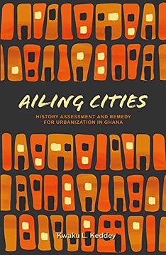 portada Ailing Cities: History, Assessment, and Remedy (en Inglés)