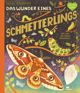 portada Das Wunder Eines Schmetterlings - wie Sich die Natur Verwandelt (en Alemán)