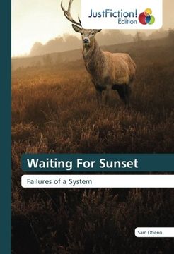 portada Waiting For Sunset: Failures of a System