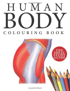 portada Human Body Colouring Book (en Inglés)