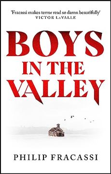 portada Boys in the Valley