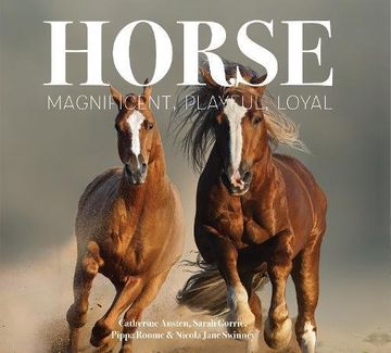 portada Horse: Magnificent, Playful, Loyal (in English)