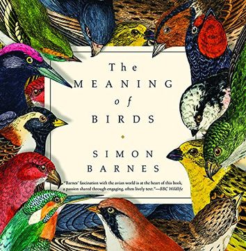 portada The Meaning of Birds (en Inglés)