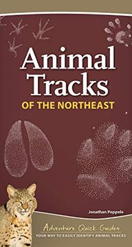 portada Animal Tracks of the Northeast: Your way to Easily Identify Animal Tracks (Adventure Quick Guides) (en Inglés)