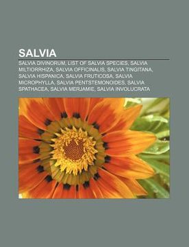 portada salvia: salvia divinorum, list of salvia species, salvia miltiorrhiza, salvia officinalis, salvia tingitana, salvia hispanica,