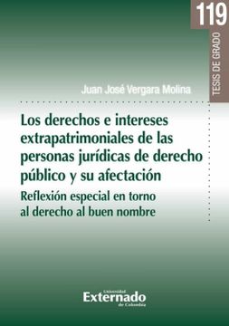 portada Los Derechos e Intereses Extrapatrimoniales de las Personas Juridicas de Derecho Publico y su Afectacion (Ebook)