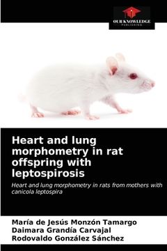 portada Heart and lung morphometry in rat offspring with leptospirosis