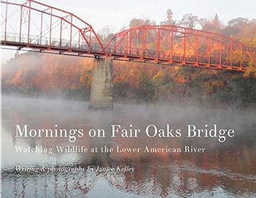 portada Mornings on Fair Oaks Bridge: Watching Wildlife at the Lower American River (None) (en Inglés)