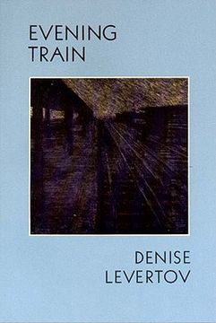 portada evening train (en Inglés)