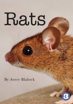 portada Rats (en Inglés)