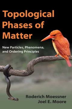 portada Topological Phases of Matter (en Inglés)