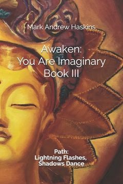 portada Awaken: You Are Imaginary: Book III: Path: Lightning Flashes, Shadows Dance (en Inglés)