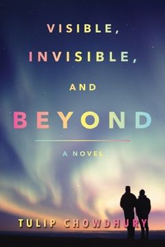 portada Visible, Invisible and Beyond: A Novel