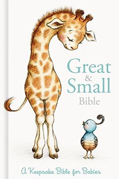 portada CSB Great and Small Bible (Boxed): A Keepsake Bible for Babies (en Inglés)