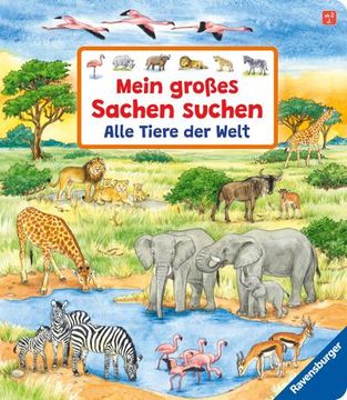 portada Mein Großes Sachen Suchen: Alle Tiere der Welt (en Alemán)