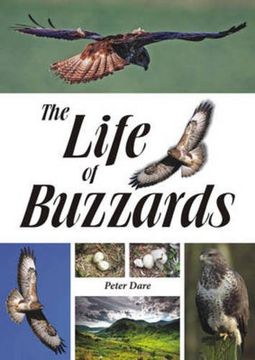 portada The Life of Buzzards (en Inglés)