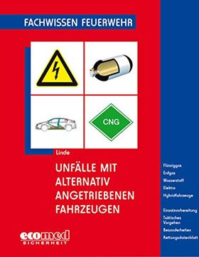 portada Unfälle mit Alternativ Angetriebenen Fahrzeugen (en Alemán)