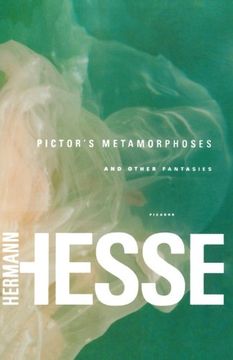 portada Pictor's Metamorphoses (in English)