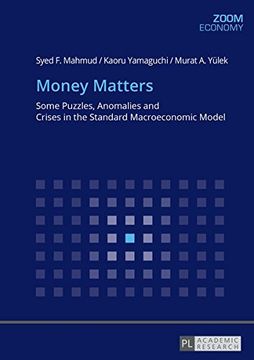 portada Money Matters: Some Puzzles, Anomalies and Crises in the Standard Macroeconomic Model (en Inglés)