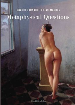 portada Metaphysical Questions. (in English)