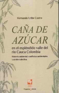 portada Caña de Azucar en el Esplendido Valle del rio Cauca Colombia