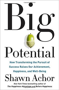 portada Big Potential: How Transforming the Pursuit of Success Raises our Achievement, Happiness, and Well-Being (in English)