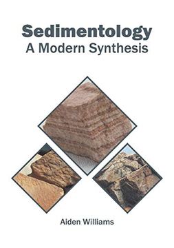 portada Sedimentology: A Modern Synthesis (in English)