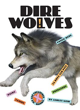 portada Dire Wolves (X-Books: Ice age Creatures) (en Inglés)