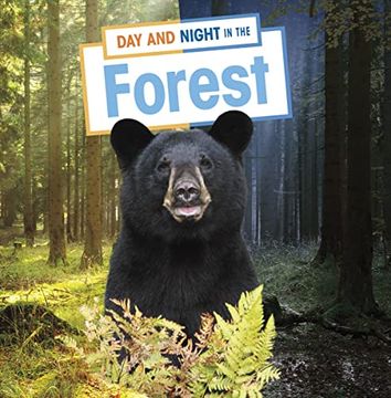 portada Day and Night in the Forest 