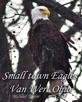 portada Small town Eagles: Van Wert Ohio (in English)