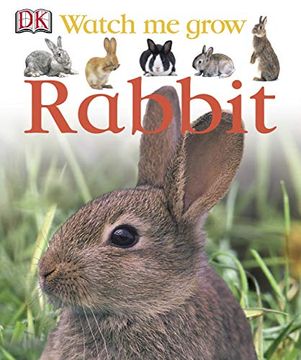 portada Rabbit (in English)