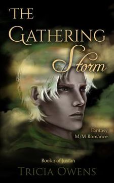 portada The Gathering Storm: Fantasy M/M Romance (en Inglés)
